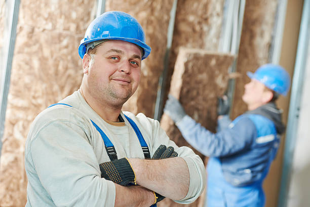 Best Attic Insulation Near Me  in Steelevle, IL